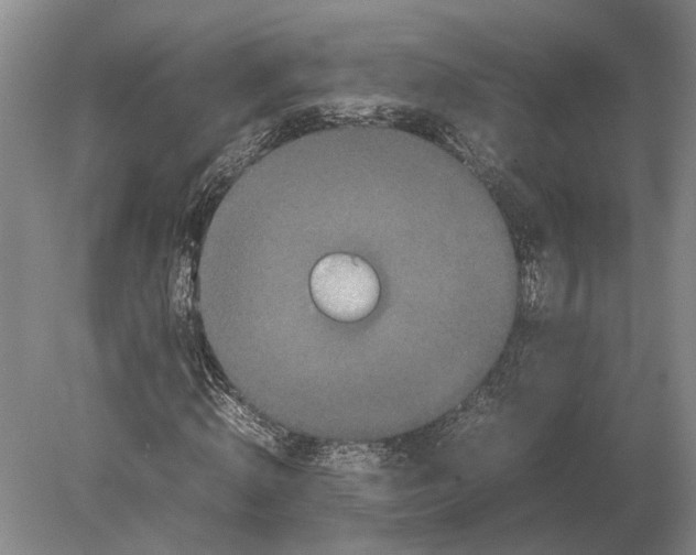 X0000078840820200612041837