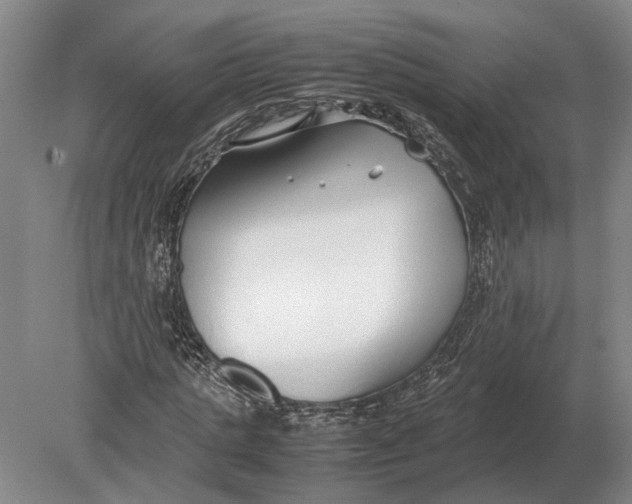 X0000078840821200612041837