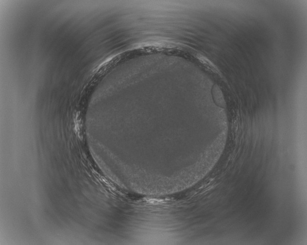 X0000078840822200612041837