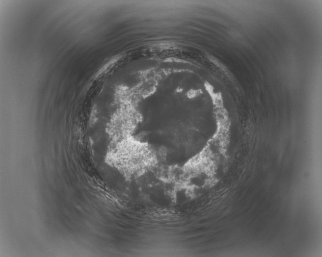 X0000078840823200612041837