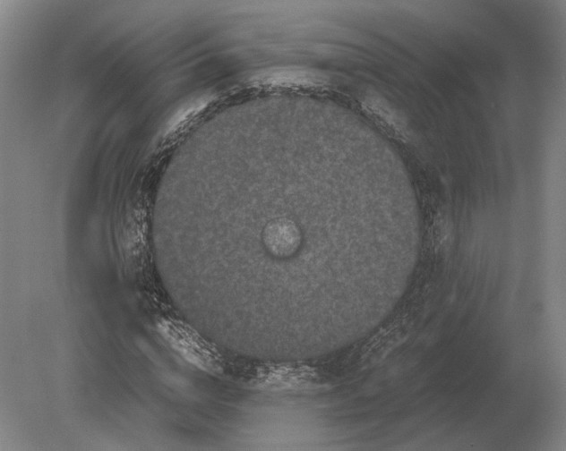 X0000078840824200612041837