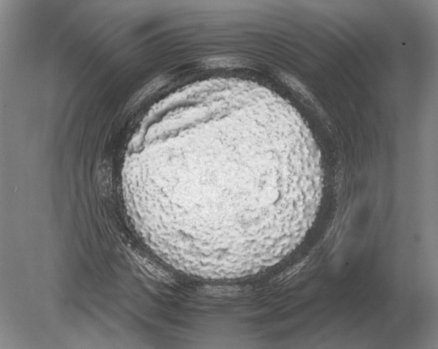 X0000078840825200612041837