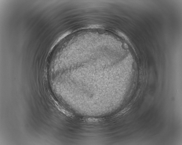 X0000078840827200612041837