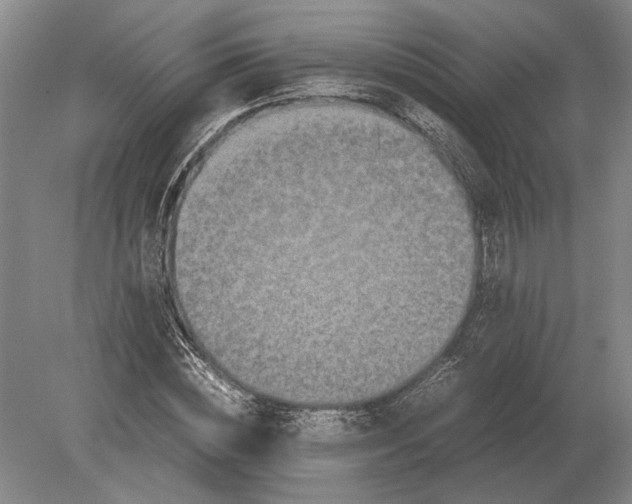 X0000078840828200612041837