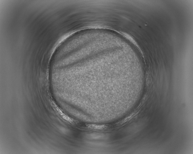 X0000078840831200612041837