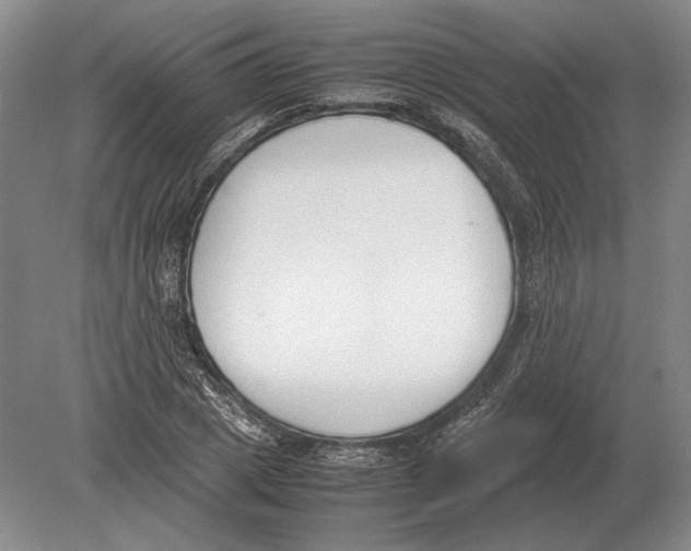 X0000078840833200612041837