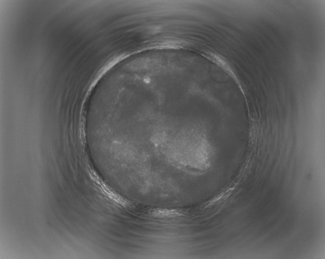 X0000078840835200612041837