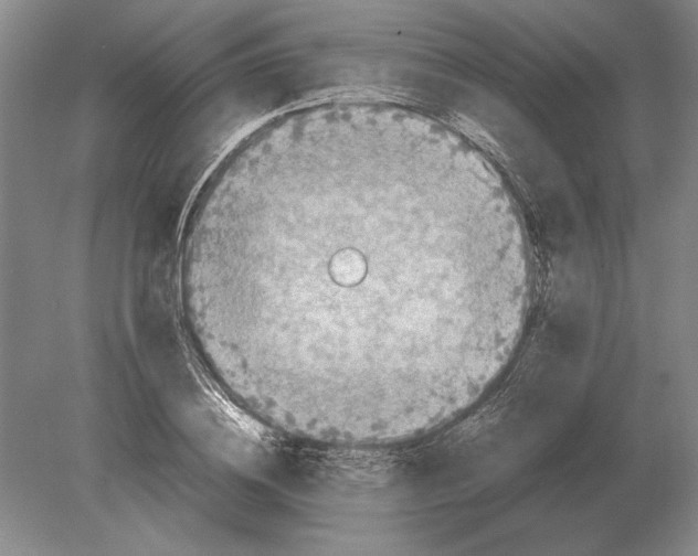 X0000078840836200612041837