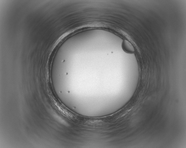 X0000078840837200612041837