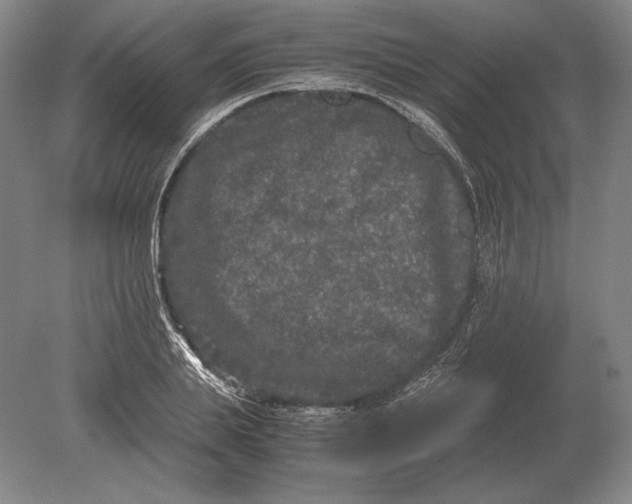 X0000078840839200612041837