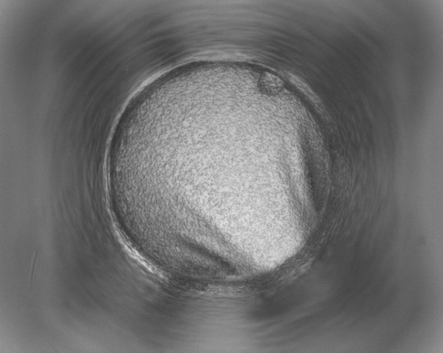 X0000078840840200612041837