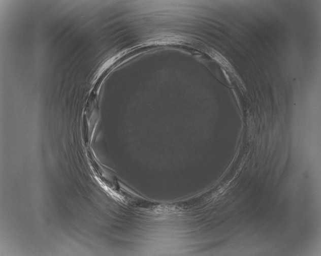 X0000078840842200612041837