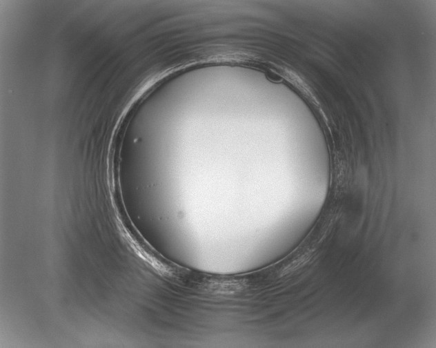 X0000078840843200612041837