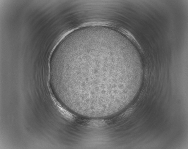 X0000078840844200612041837