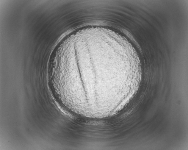 X0000078840845200612041837