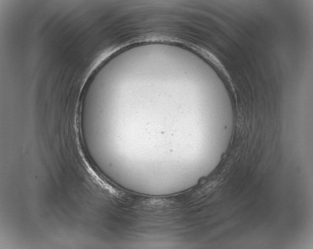 X0000078840847200612041837