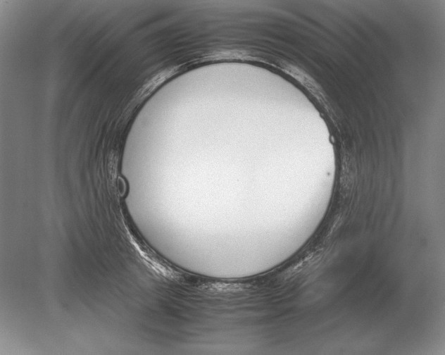 X0000078840849200612041837