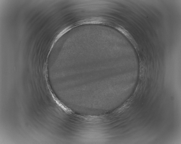 X0000078840850200612041837