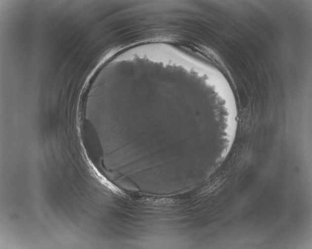 X0000078840851200612041837