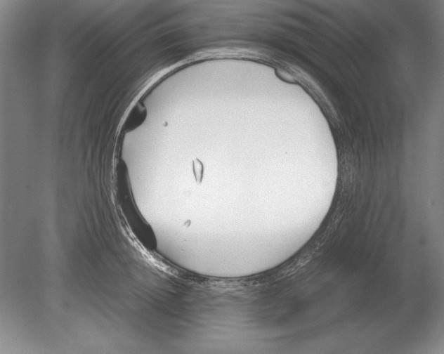 X0000078840852200612041837