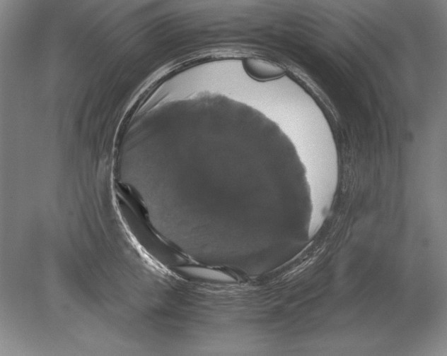 X0000078840853200612041837