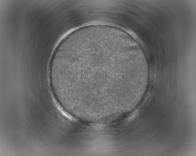 X0000078840854200612041837