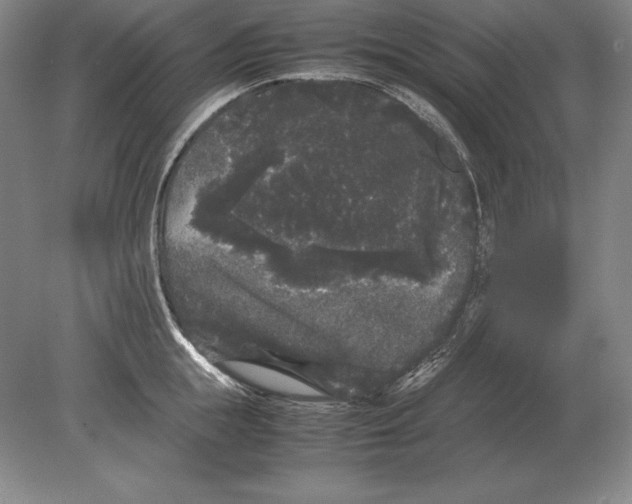 X0000078840855200612041837