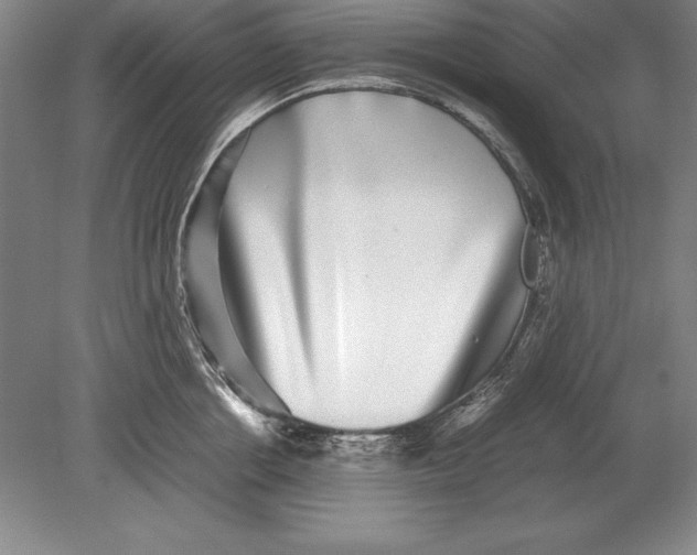 X0000078840858200612041837