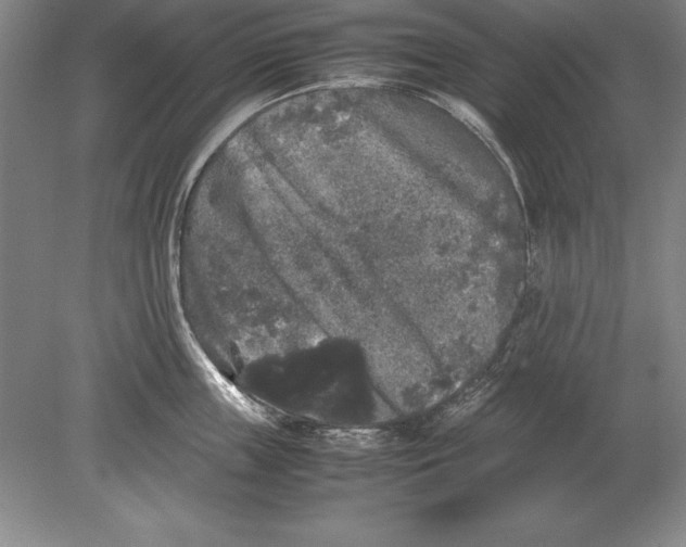 X0000078840859200612041837