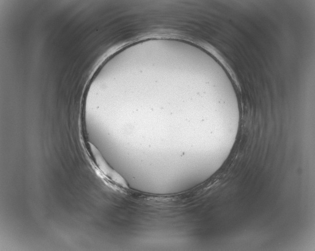 X0000078840861200612041838