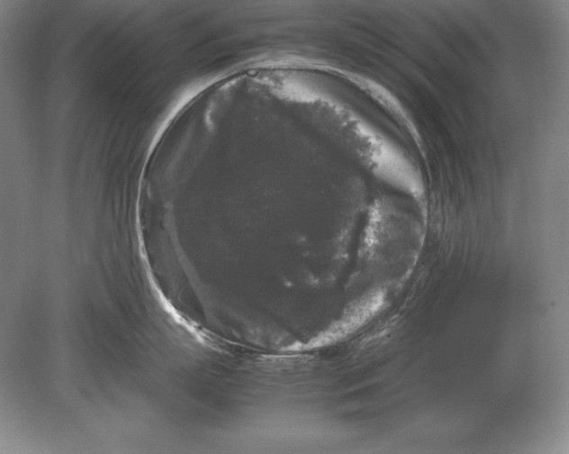 X0000078840863200612041838