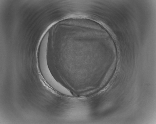 X0000078840864200612041838