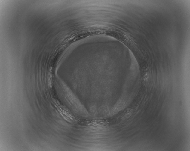 X0000078840868200612041837