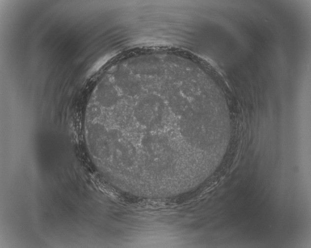 X0000078840871200612041837