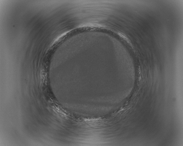 X0000078840872200612041837