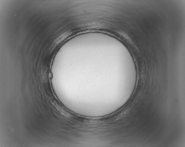 X0000078840873200612041837