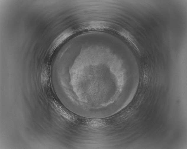 X0000078840874200612041837