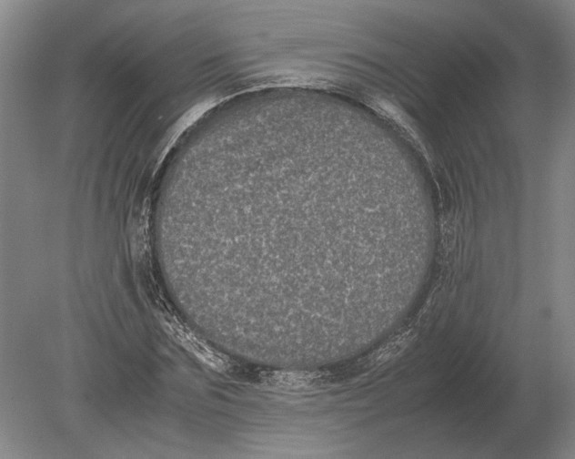 X0000078840875200612041837