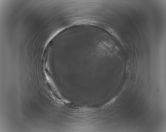 X0000078840877200612041837