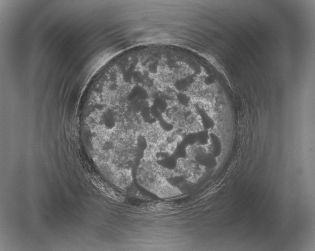 X0000078840879200612041837