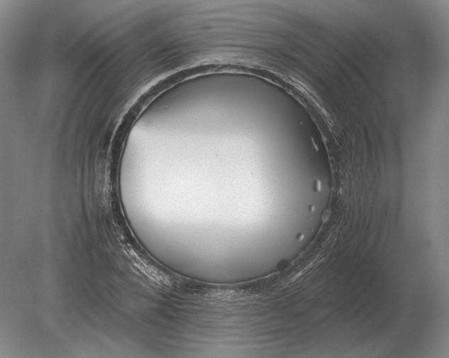 X0000078840880200612041836