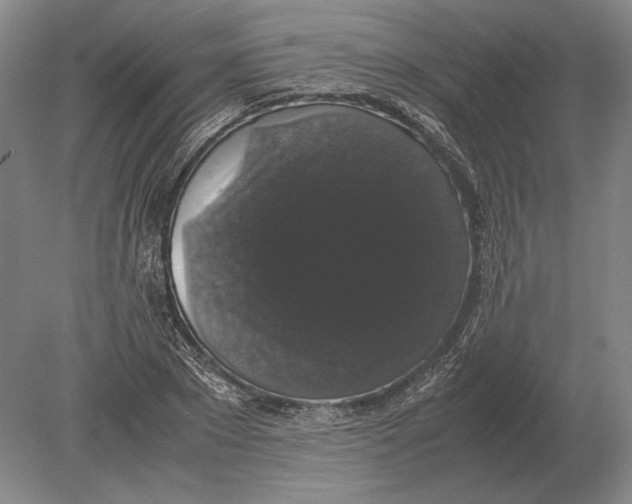 X0000078840881200612041836