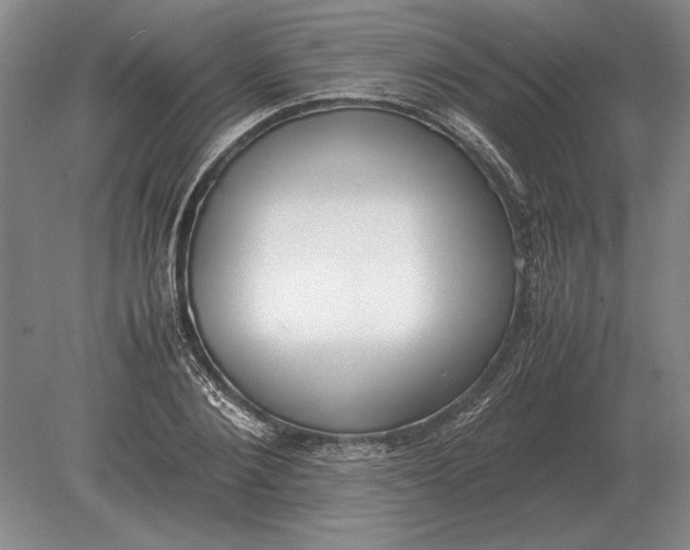 X0000078840884200612041836