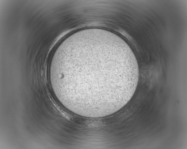 X0000078840886200612041836