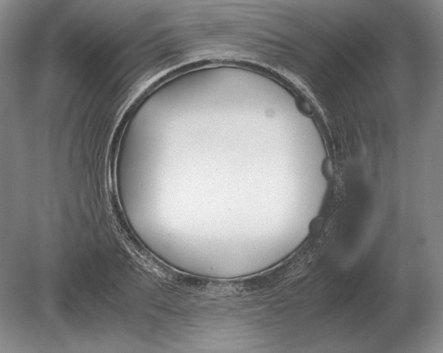 X0000078840887200612041836