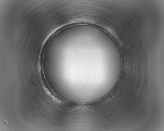 X0000078840888200612041836