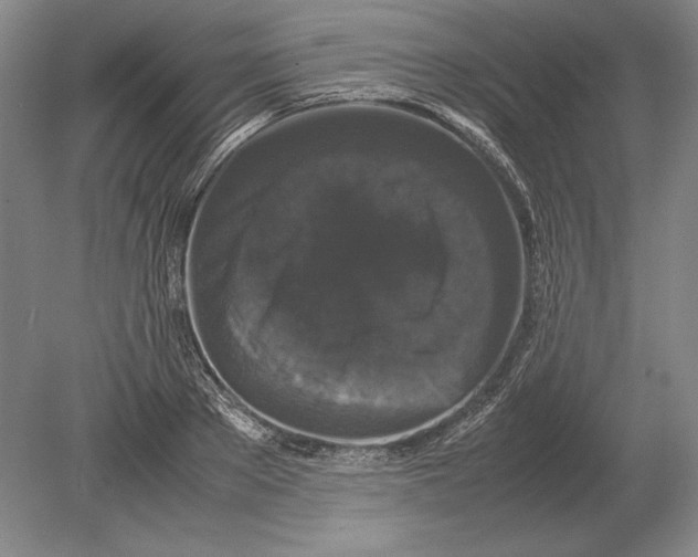 X0000078840889200612041836