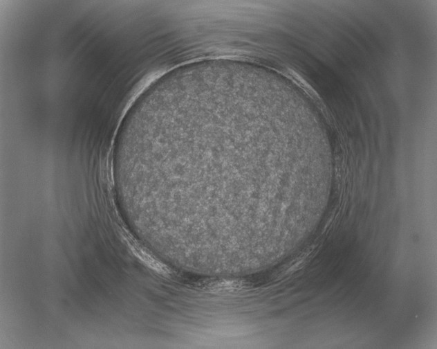 X0000078840891200612041836