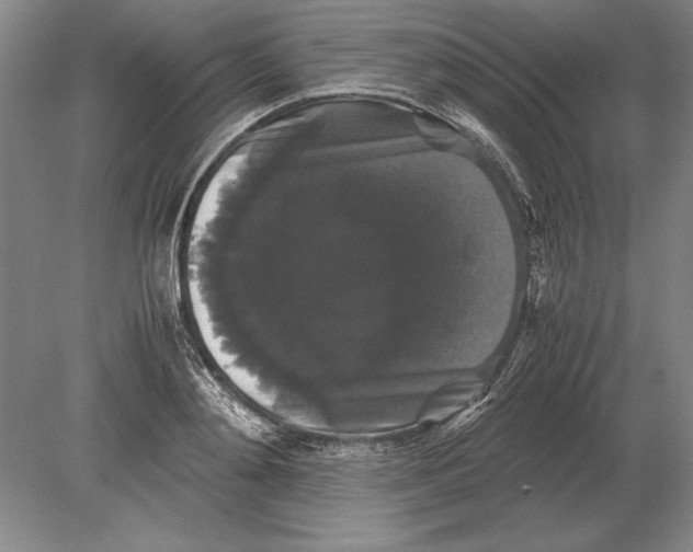 X0000078840892200612041836