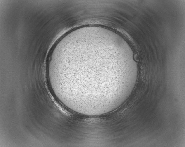 X0000078840894200612041836